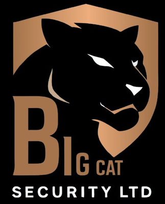 Big Cat Security Ltd